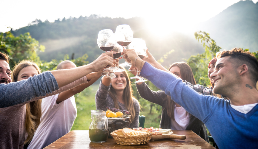 Luxury wine tour transportation through Napa Valley vineyards - Black & White Limousine